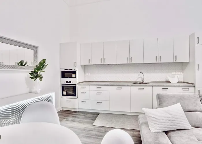 公寓 The Downtown 布达佩斯